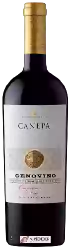 Winery Canepa - Carignan Genovino