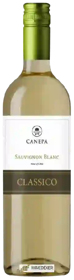 Winery Canepa - Classico Sauvignon Blanc Winery Canepa - Classico Sauvignon Blanc