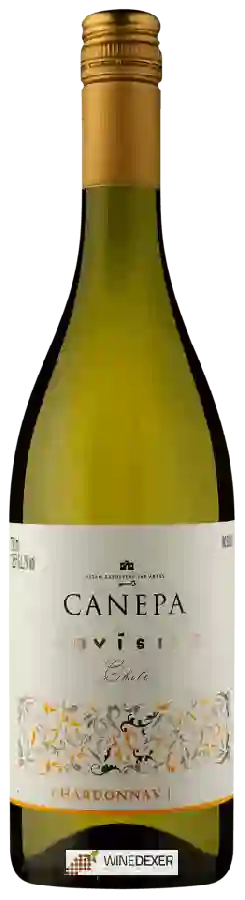 Winery Canepa - Novísimo Chardonnay Winery Canepa - Novísimo Chardonnay