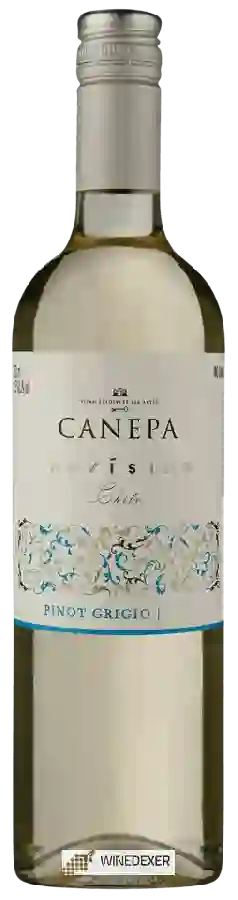 Winery Canepa - Novísimo Pinot Grigio Winery Canepa - Novísimo Pinot Grigio