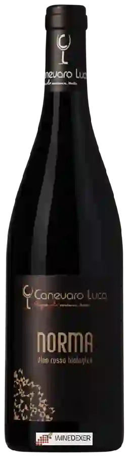 Winery Canevaro Luca - Norma Winery Canevaro Luca - Norma