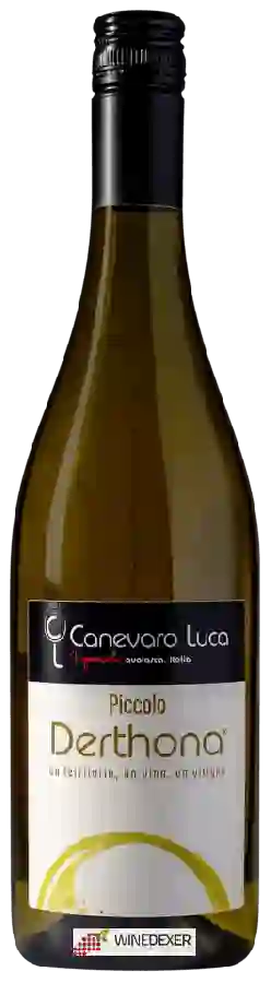 Winery Canevaro Luca - Piccolo Derthona Winery Canevaro Luca - Piccolo Derthona