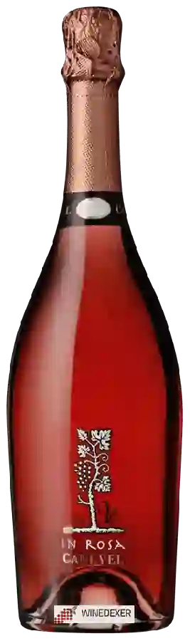 Winery Canevel - La Vi in Rosa Winery Canevel - La Vi in Rosa