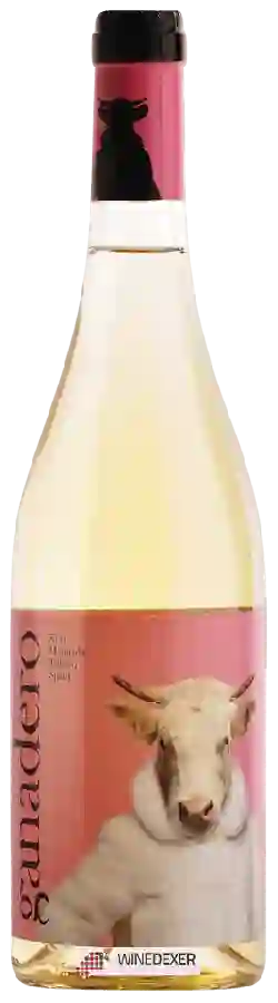 Winery Canopy - Ganadero Blanco Winery Canopy - Ganadero Blanco