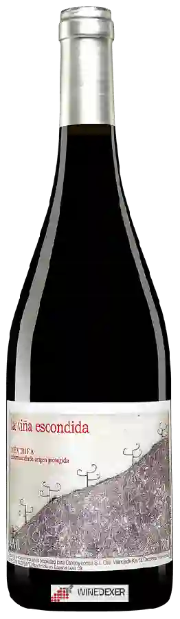 Winery Canopy - La Viña Escondida