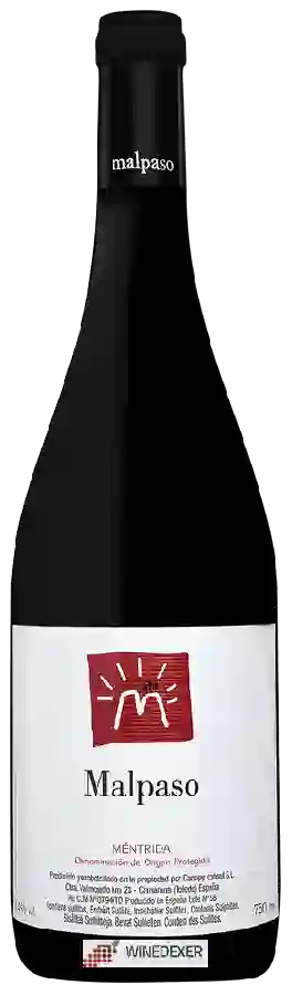 Winery Canopy - Malpaso Syrah