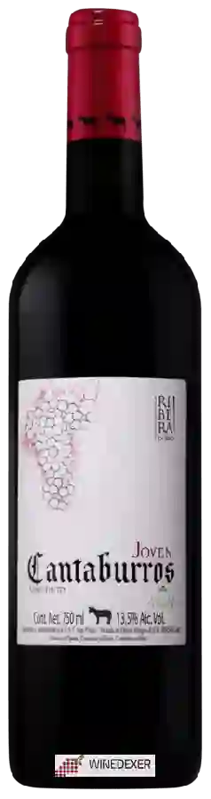 Winery Cantaburros - Joven