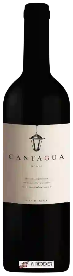 Winery Cantagua - Merlot