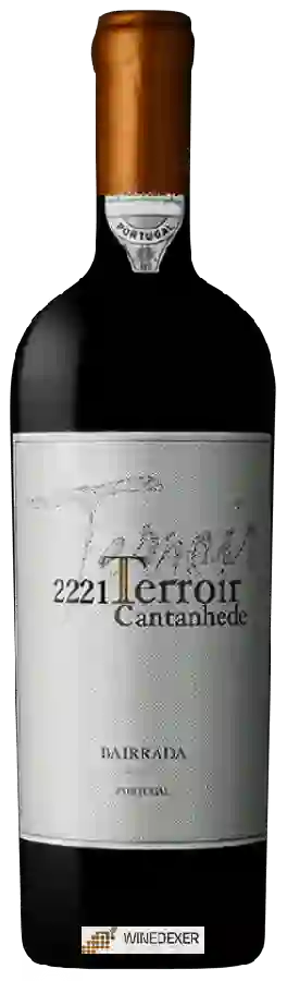 Winery Cantanhede - 2221 Terroir Winery Cantanhede - 2221 Terroir
