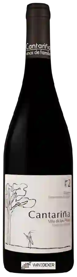 Winery Cantariña - Viña de los Pinos Winery Cantariña - Viña de los Pinos