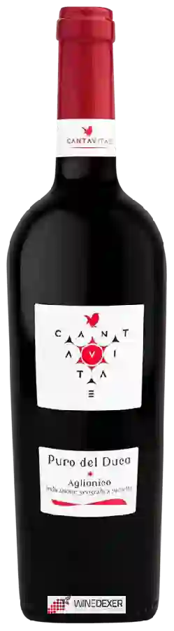 Winery Cantavitae - Puro del Duca Aglianico Winery Cantavitae - Puro del Duca Aglianico