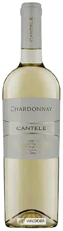 Winery Cantele - Chardonnay