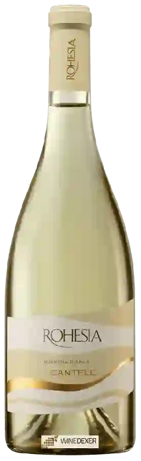 Winery Cantele - Rohesia Malvasia Bianca Winery Cantele - Rohesia Malvasia Bianca