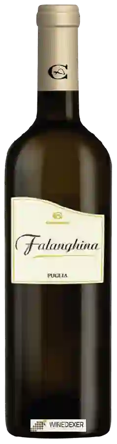 Winery Cantina Ariano - Falanghina Winery Cantina Ariano - Falanghina
