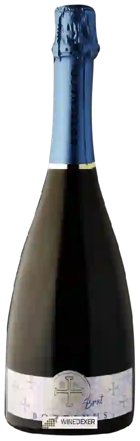 Winery Cantina Bottenago - Bottinus Brut Winery Cantina Bottenago - Bottinus Brut