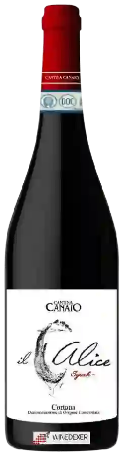 Winery Cantina Canaio - Il Calice