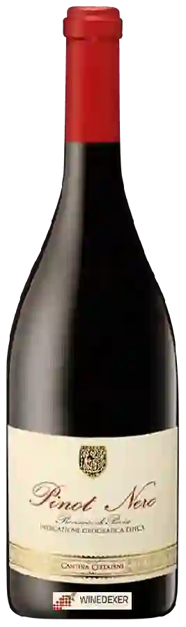 Winery Cantina Cittadini - Pinot Nero Winery Cantina Cittadini - Pinot Nero