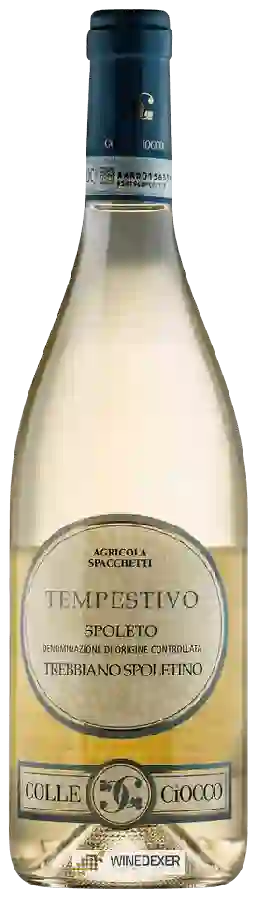 Winery Cantina Colle Ciocco - Tempestivo Trebbiano Spoletino