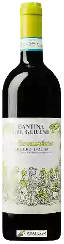 Winery Cantina del Glicine - La Sconsolata Barbera d'Alba