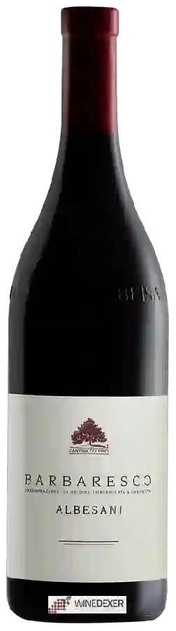 Winery Cantina del Pino - Barbaresco Albesani Winery Cantina del Pino - Barbaresco Albesani