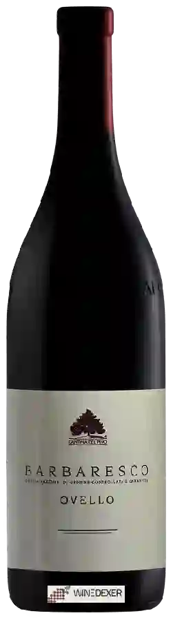 Winery Cantina del Pino - Barbaresco Ovello Winery Cantina del Pino - Barbaresco Ovello