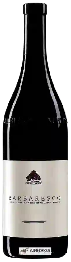 Winery Cantina del Pino - Barbaresco Winery Cantina del Pino - Barbaresco