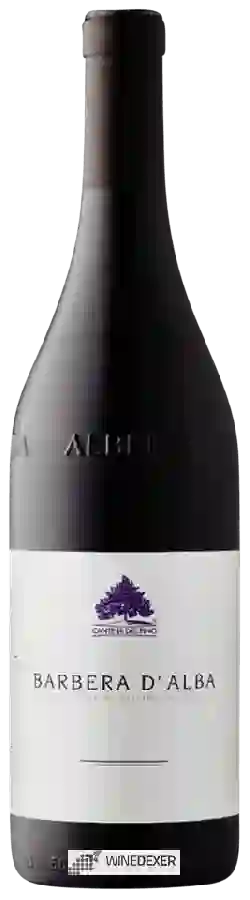 Winery Cantina del Pino - Barbera d'Alba Winery Cantina del Pino - Barbera d'Alba