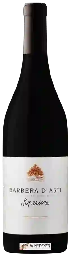 Winery Cantina del Pino - Barbera d'Asti Superiore Winery Cantina del Pino - Barbera d'Asti Superiore