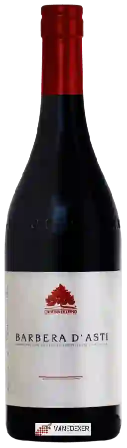 Winery Cantina del Pino - Barbera d'Asti Winery Cantina del Pino - Barbera d'Asti