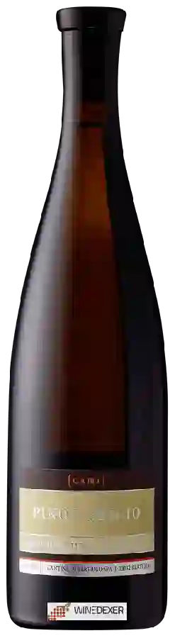 Winery Cantina di Bertiolo - Cami Pinot Grigio Winery Cantina di Bertiolo - Cami Pinot Grigio