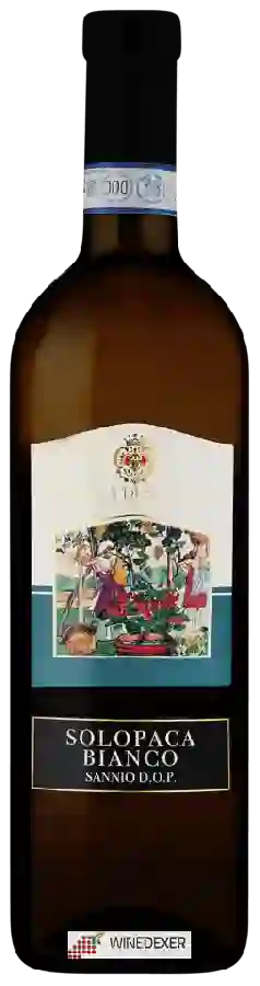 Winery Cantina di Solopaca - Solopaca Bianco Winery Cantina di Solopaca - Solopaca Bianco