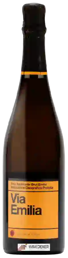Winery Cantina di Sorbara - Via Emilia Spumante Brut