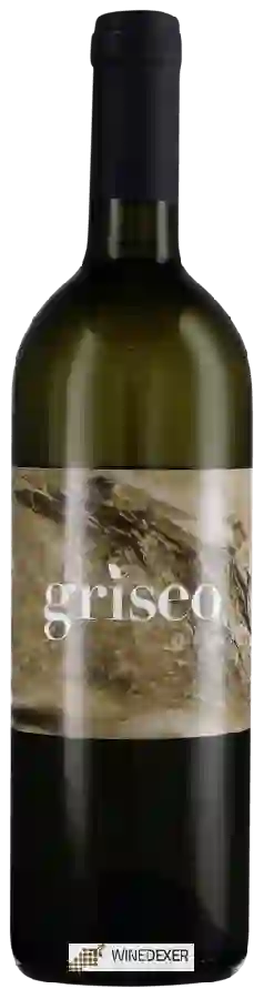 Winery Cantina Dryas - Griseo Winery Cantina Dryas - Griseo