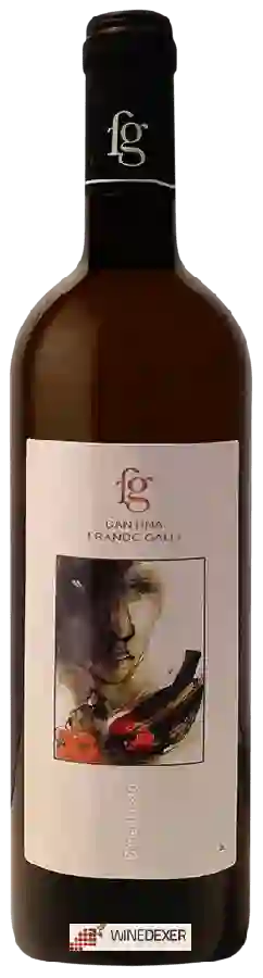 Winery Cantina Franco Galli - Dimenticato