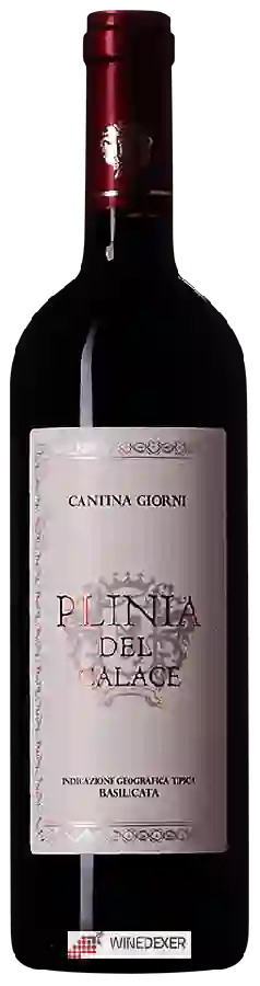 Winery Cantina Giorni - Plinia del Calace