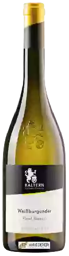 Winery Cantina Kaltern - Pinot Bianco (Weißburgunder)