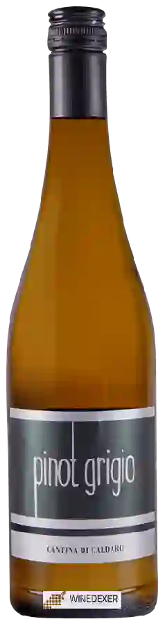 Winery Cantina Kaltern - Pinot Grigio