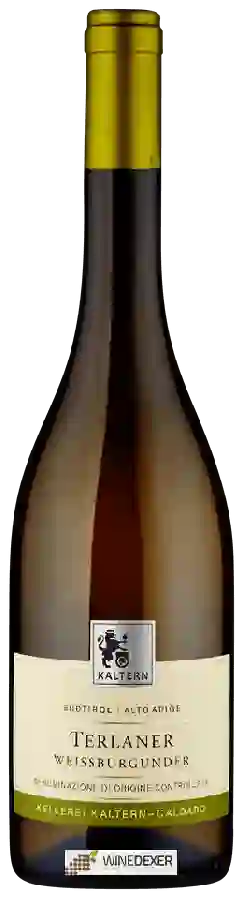 Winery Cantina Kaltern - Terlaner Weissburgunder