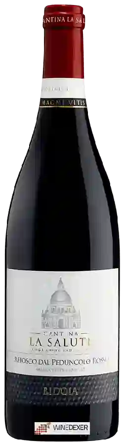Winery Cantina La Salute - Bidoia Refosco dal Peduncolo Rosso Winery Cantina La Salute - Bidoia Refosco dal Peduncolo Rosso