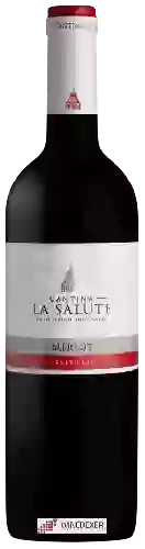 Winery Cantina La Salute - Merlot