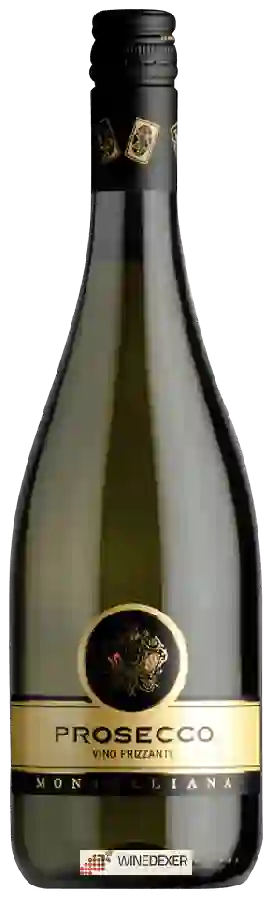 Winery Montelliana - Prosecco Frizzante Winery Montelliana - Prosecco Frizzante