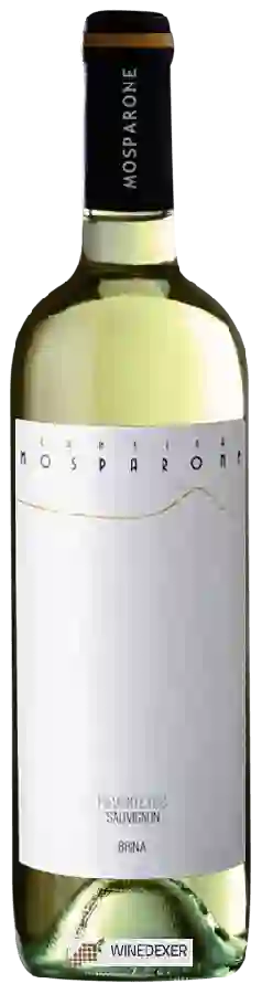Winery Cantina Mosparone - Brina Sauvignon