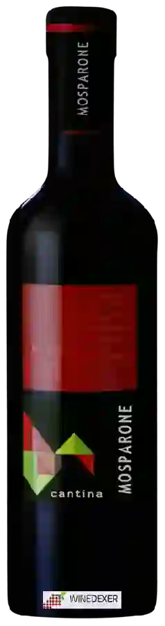 Winery Cantina Mosparone - Freisa d'Asti Winery Cantina Mosparone - Freisa d'Asti