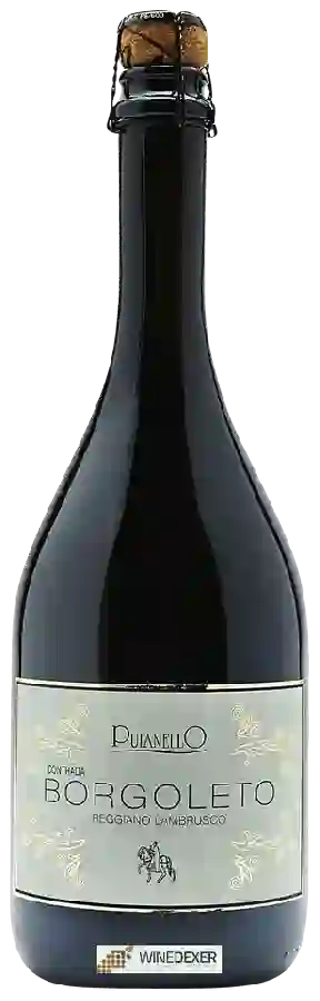 Winery Cantina Puianello - Contrada Borgoleto Reggiano Lambrusco