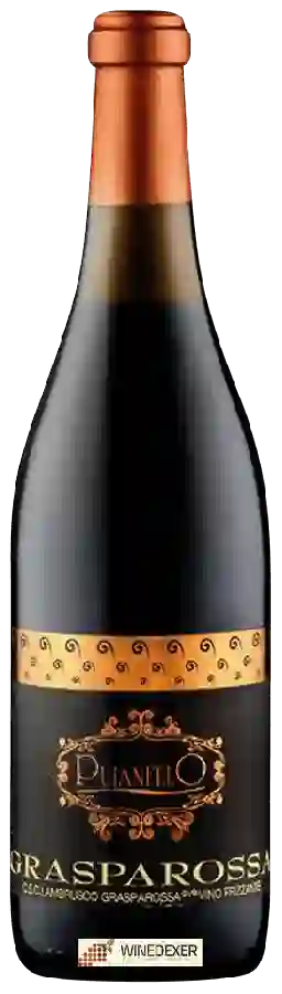 Winery Cantina Puianello - Grasparossa Lambrusco Winery Cantina Puianello - Grasparossa Lambrusco