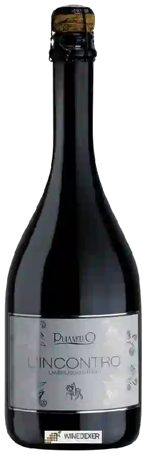 Winery Cantina Puianello - L'Incontro Lambrusco Barghi Winery Cantina Puianello - L'Incontro Lambrusco Barghi