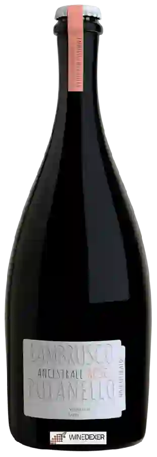 Winery Cantina Puianello - Lambrusco Ancestrale Rosé Winery Cantina Puianello - Lambrusco Ancestrale Rosé