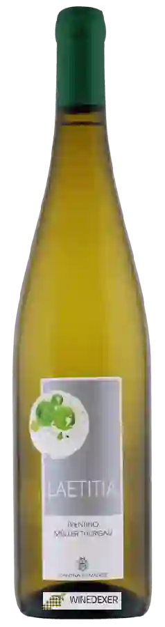 Winery Cantina Romanese - Laetitia Winery Cantina Romanese - Laetitia