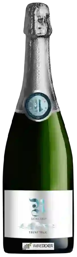 Winery Cantina Rotaliana - R Trentodoc Extra Brut