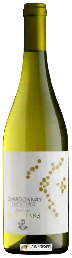 Winery Cantina Rotaliana - Trentino Chardonnay Winery Cantina Rotaliana - Trentino Chardonnay